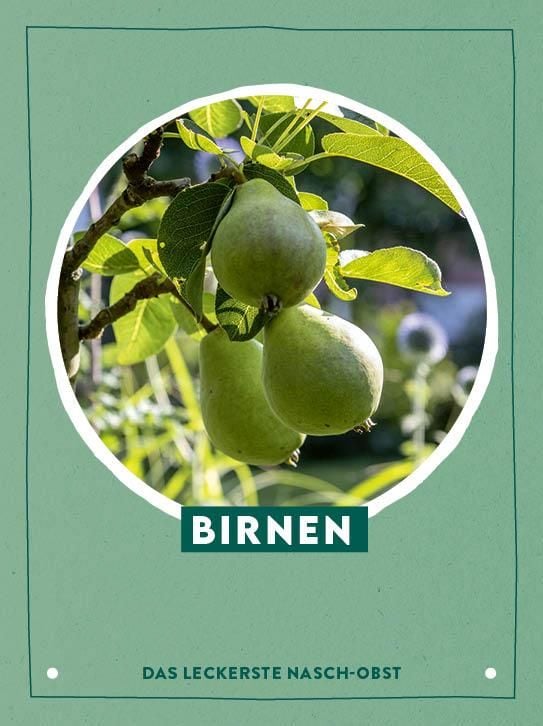 Produktbild: Kartenset: Keine Zeit zu g&auml;rtnern &ndash; 64 Karten &ndash; Einfach und schnell zum Gem&uuml;segarten