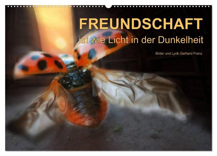 Produktbild: Freundschaft (Wandkalender 2026 DIN A2 quer), CALVENDO Monatskalender