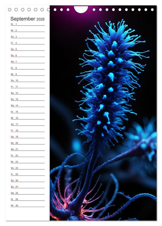 Produktbild: Leuchtende Mikroflora (Wandkalender 2026 DIN A4 hoch), CALVENDO Monatskalender