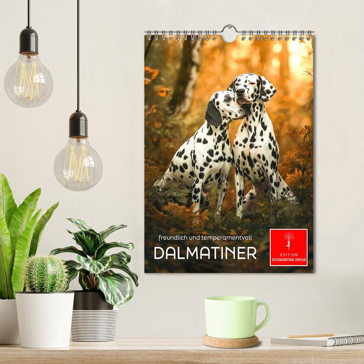 Produktbild: Dalmatiner - freundlich und temperamentvoll (Wandkalender 2026 DIN A4 hoch), CALVENDO Monatskalender