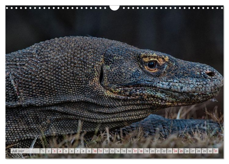 Produktbild: Drachen: Geheimnisvolles Tierreich (Wandkalender 2027 DIN A3 quer), CALVENDO Monatskalender