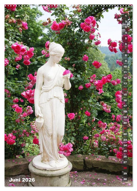 Produktbild: Sch&ouml;nste Rosen (Wandkalender 2026 DIN A2 hoch), CALVENDO Monatskalender