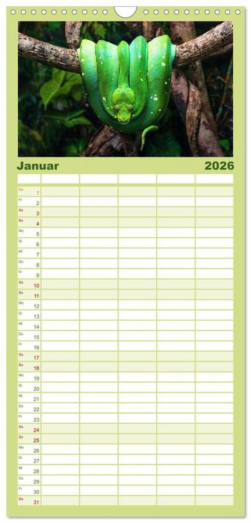 Produktbild: Familienplaner 2026 - Reptilien - Tierische Farbenpracht mit 5 Spalten (Wandkalender, 21 x 45 cm) CALVENDO
