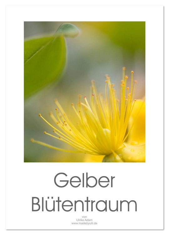 Produktbild: Gelber Bl&uuml;tentraum (Wandkalender 2026 DIN A2 hoch), CALVENDO Monatskalender