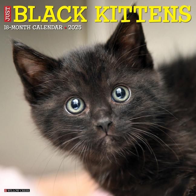 Produktbild: Black Kittens 2026 Wall Calendar