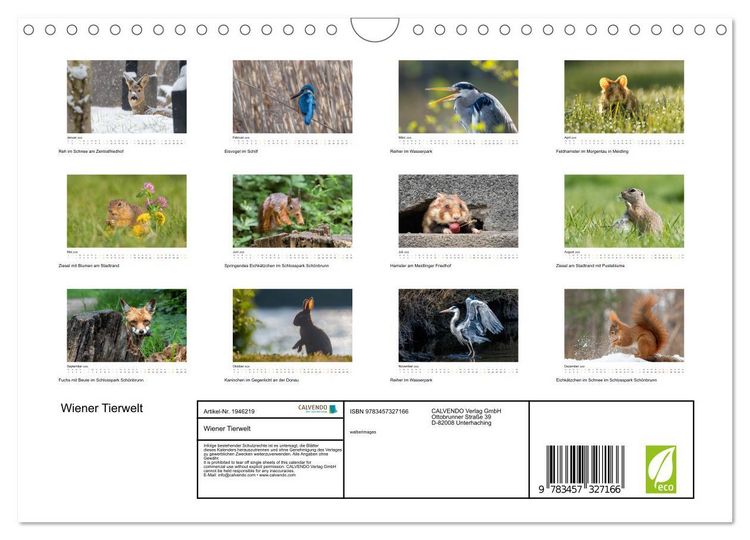 Produktbild: Wiener Tierwelt (Wandkalender 2026 DIN A4 quer), CALVENDO Monatskalender