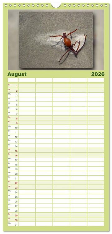 Produktbild: Familienplaner 2026 - Baltrum - Ein Tag am Strand mit 5 Spalten (Wandkalender, 21 x 45 cm) CALVENDO