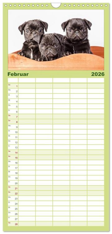 Produktbild: Familienplaner 2026 - M&ouml;pse mit 5 Spalten (Wandkalender, 21 x 45 cm) CALVENDO