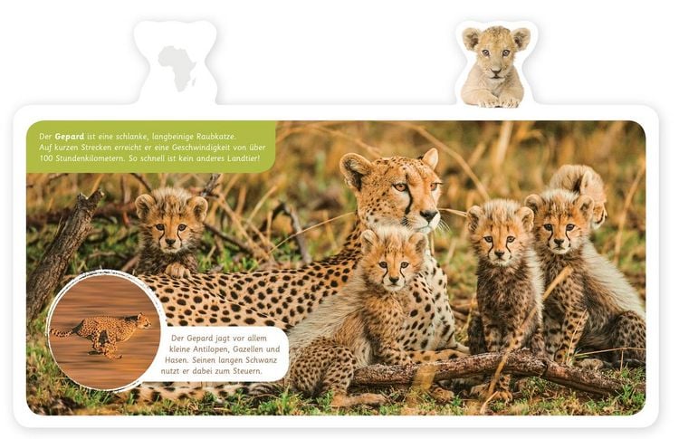 Produktbild: Tiere in Afrika