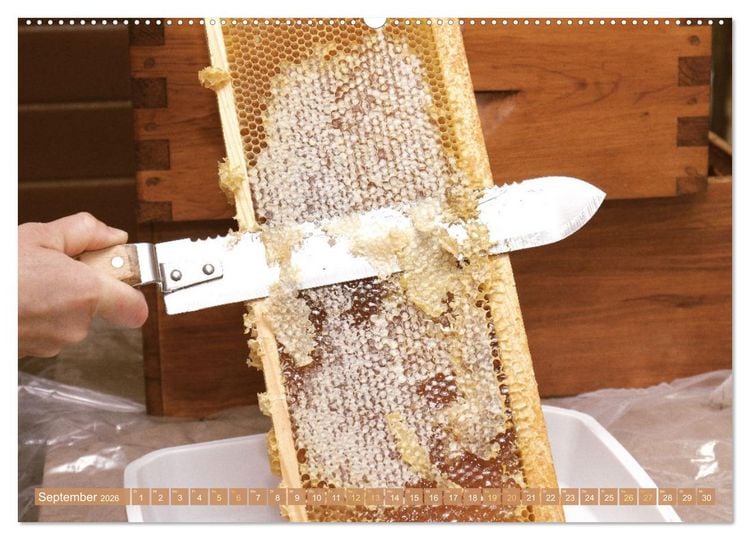 Produktbild: Der Imker: Leidenschaft f&uuml;r die Bienen (Wandkalender 2026 DIN A2 quer), CALVENDO Monatskalender