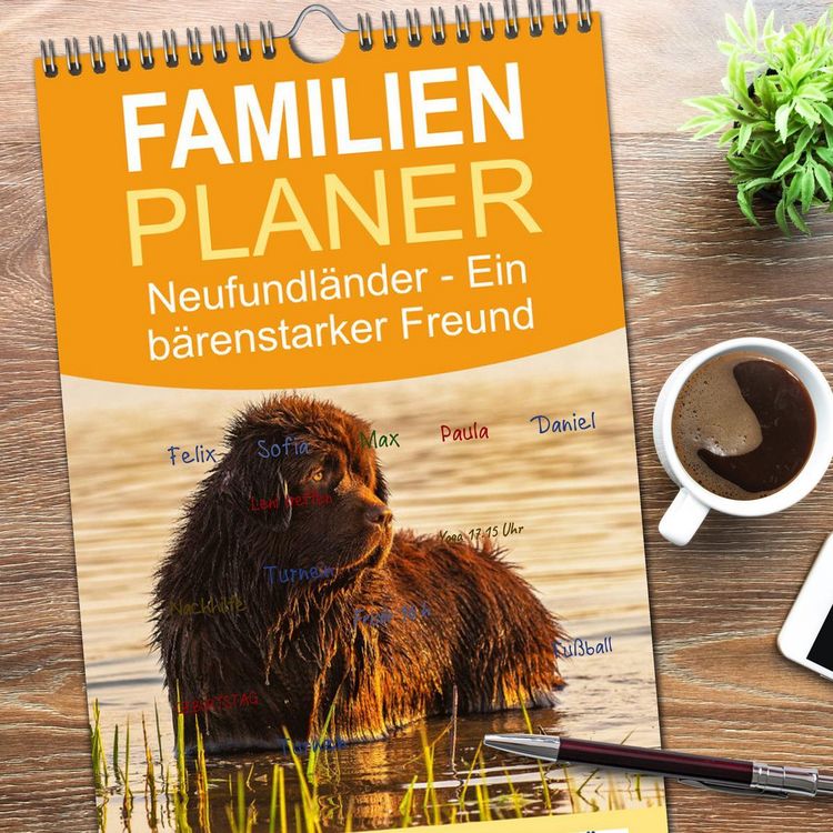 Produktbild: Familienplaner 2026 - Neufundl&auml;nder - Ein b&auml;renstarker Freund mit 5 Spalten (Wandkalender, 21 x 45 cm) CALVENDO
