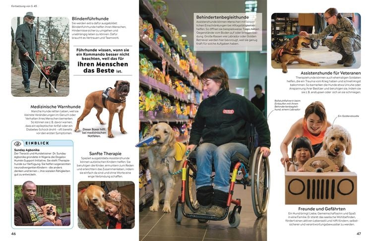 Produktbild: Memo Wissen. Hunde