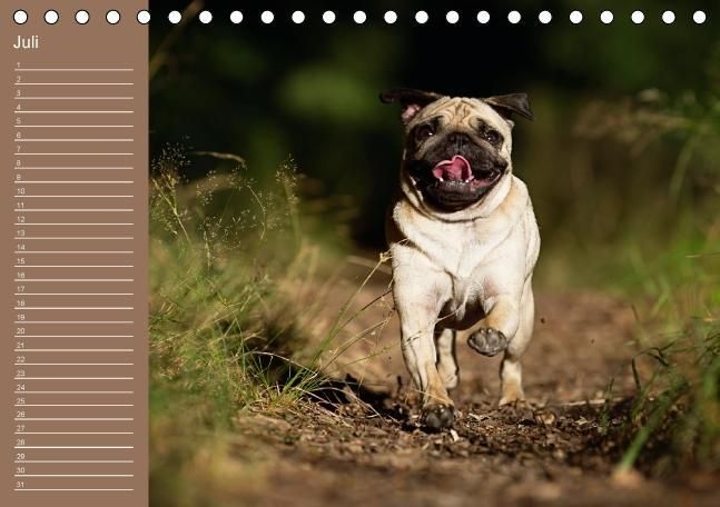 Produktbild: Ein Mops f&uuml;rs Herz (Tischkalender immerw&auml;hrend DIN A5 quer)