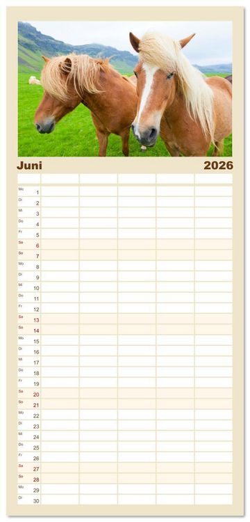 Produktbild: Familienplaner 2026 - Islandpferde - Die s&uuml;&szlig;en Pferde im Norden. mit 5 Spalten (Wandkalender, 21 x 45 cm) CALVENDO