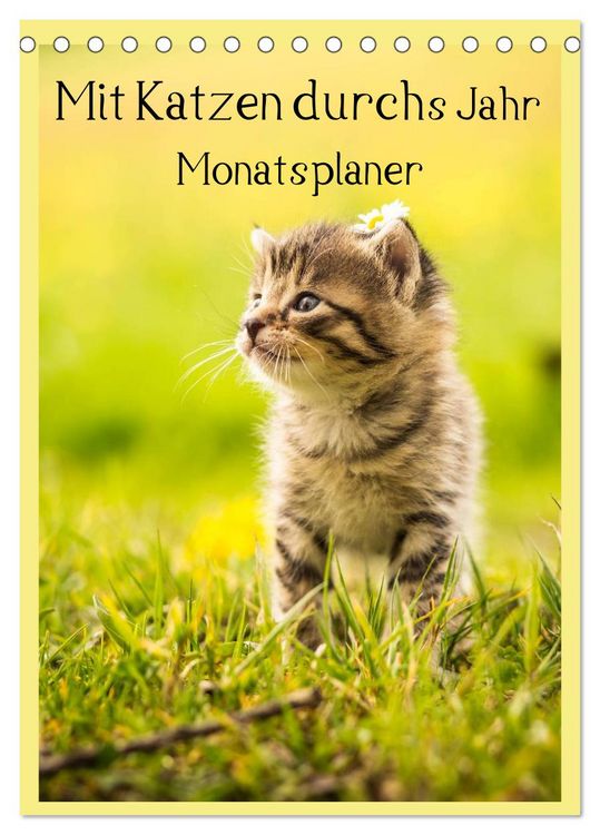 Produktbild: Mit Katzen durchs Jahr / Planer (Tischkalender 2026 DIN A5 hoch), CALVENDO Monatskalender