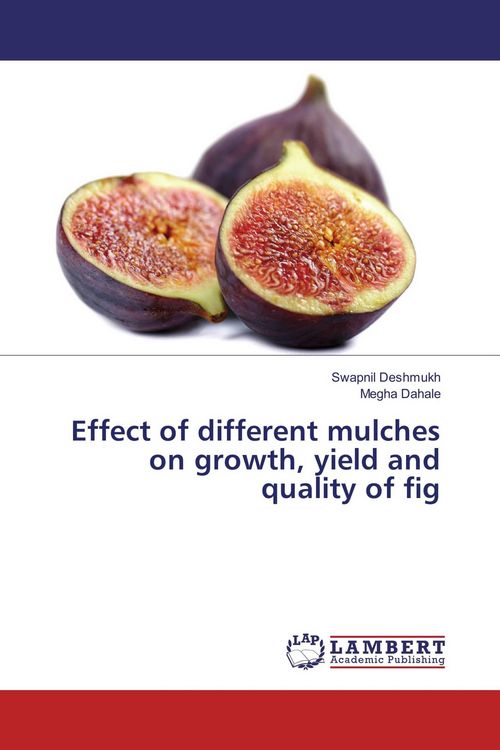 Produktbild: Effect of different mulches on growth, yield and quality of fig