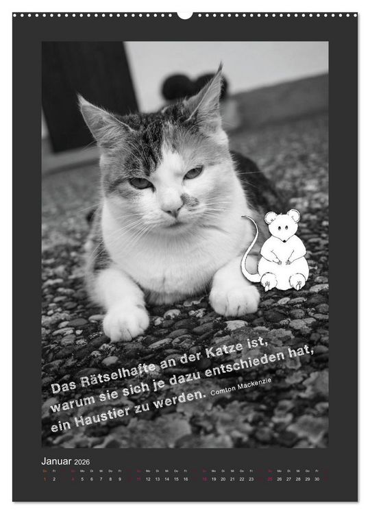 Produktbild: Katz & Maus (Wandkalender 2026 DIN A2 hoch), CALVENDO Monatskalender