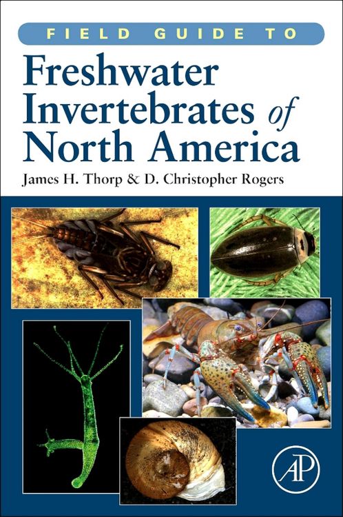 Produktbild: Field Guide to Freshwater Invertebrates of North America