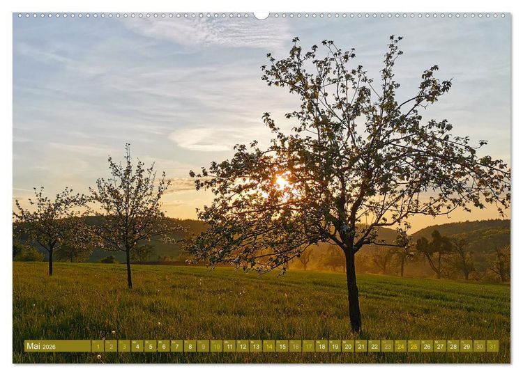 Produktbild: Apfelbaum und Streuobstwiesen (Wandkalender 2026 DIN A2 quer), CALVENDO Monatskalender