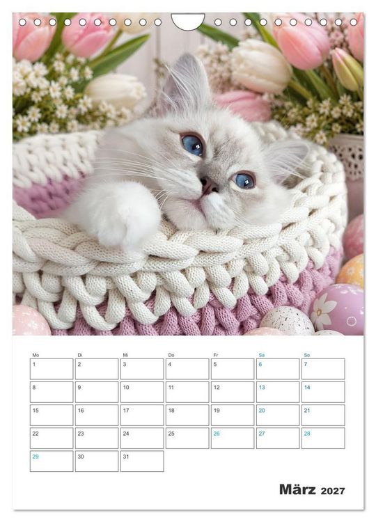 Produktbild: Heilige Birma Kitten Kalender mit Planer (Wandkalender 2027 DIN A4 hoch), CALVENDO Monatskalender