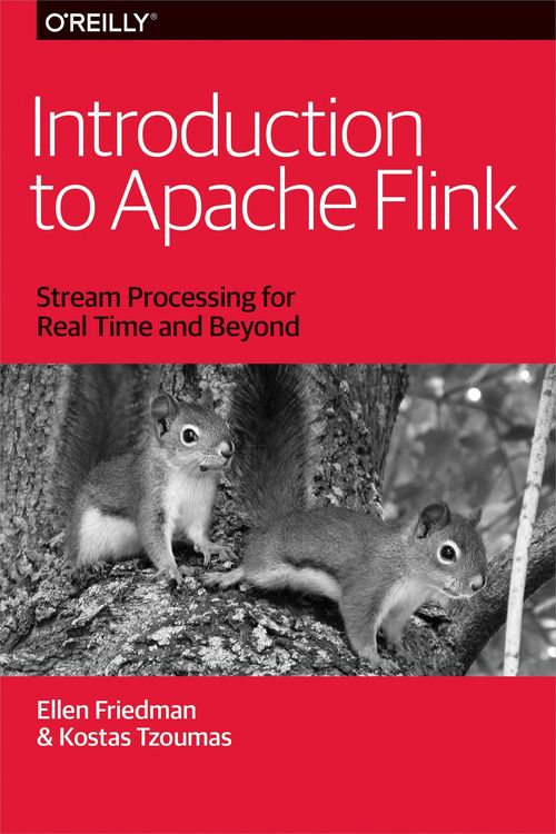Produktbild: Introduction to Apache Flink