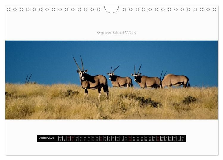 Produktbild: Namibia - Panoramen (Wandkalender 2026 DIN A4 quer), CALVENDO Monatskalender