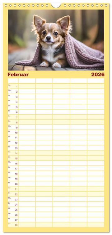 Produktbild: Familienplaner 2026 - Chihuahuas - Kleine Hunde - gro&szlig;e Temperamentb&uuml;ndel mit 5 Spalten (Wandkalender, 21 x 45 cm) CALVENDO