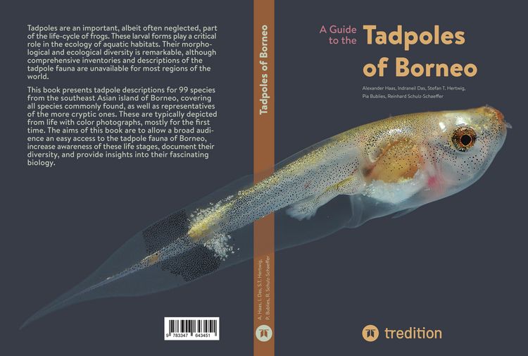 Produktbild: A Guide to the Tadpoles of Borneo