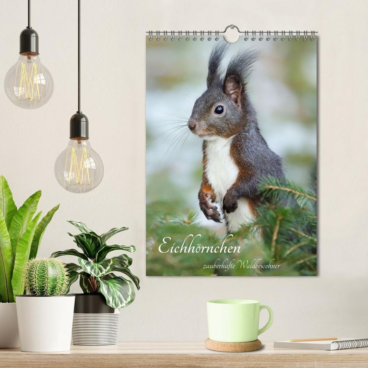 Produktbild: Eichh&ouml;rnchen - zauberhafte Waldbewohner (Wandkalender 2026 DIN A4 hoch), CALVENDO Monatskalender