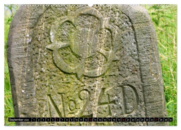 Produktbild: Lippische Rosen (Wandkalender 2026 DIN A2 quer), CALVENDO Monatskalender