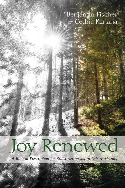 Produktbild: Joy Renewed