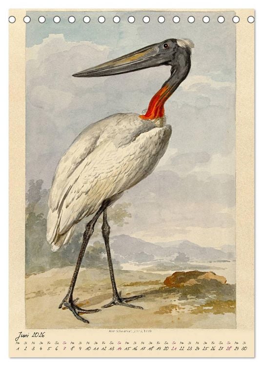 Produktbild: Aert Schouman. V&Ouml;GEL (Tischkalender 2026 DIN A5 hoch), CALVENDO Monatskalender