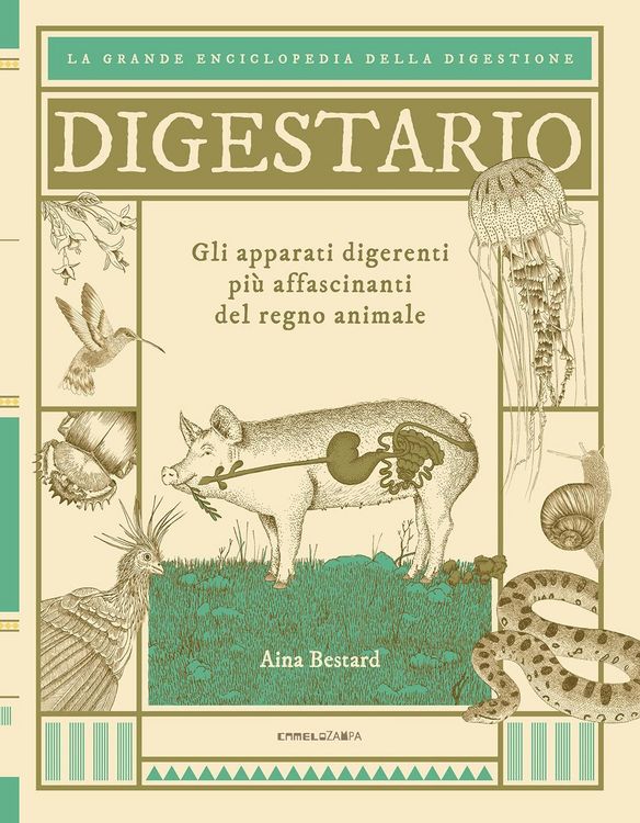 Produktbild: Digestario