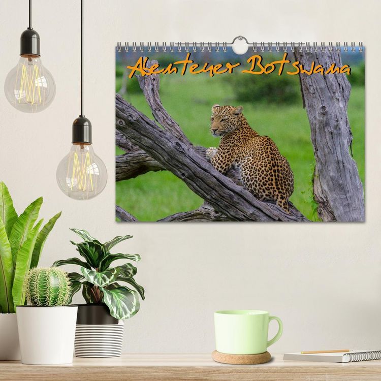 Produktbild: Abenteuer Botswana Afrika - Adventure Botswana (Wandkalender 2026 DIN A4 quer), CALVENDO Monatskalender