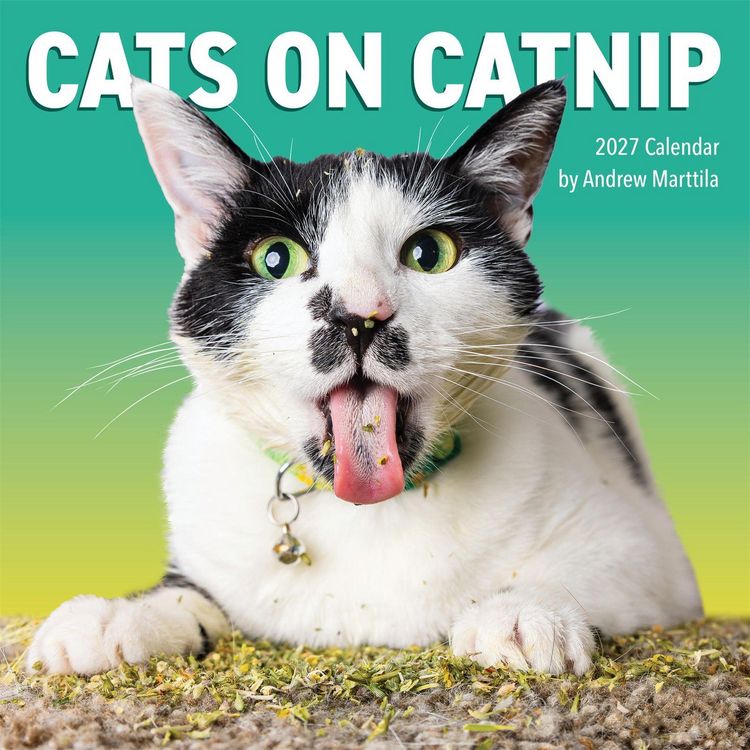 Produktbild: Cats on Catnip Wall Calendar 2027
