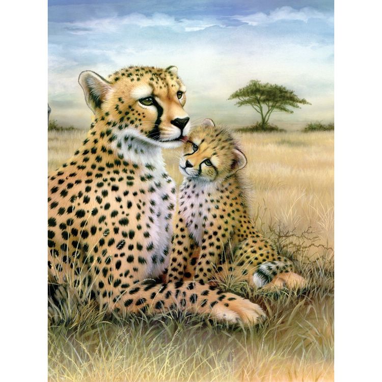 Produktbild: PRACHT Malen nach Zahlen Junior Leopard