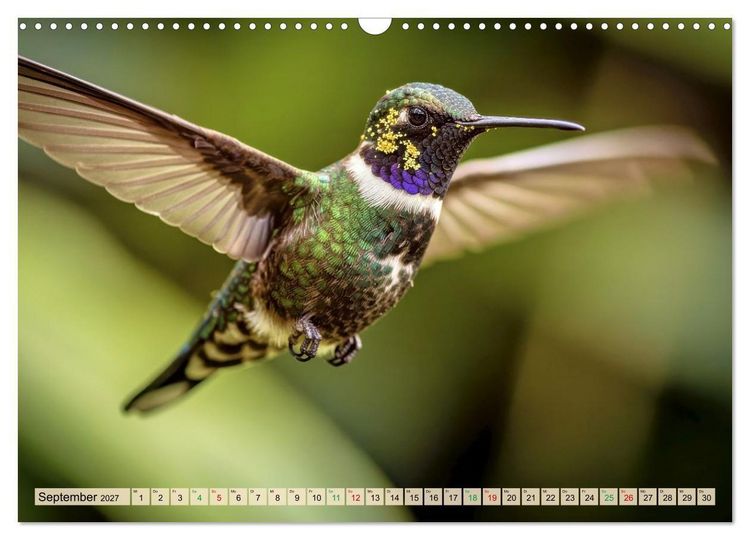 Produktbild: Die kleinsten Tiere - Weltweit (Wandkalender 2027 DIN A3 quer), CALVENDO Monatskalender