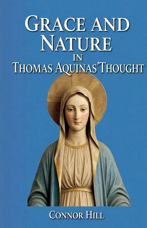 Produktbild: Grace and Nature in Thomas Aquinas' Thought