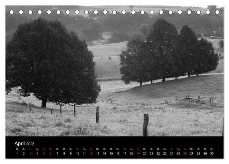 Produktbild: B&auml;ume trees 2026 (Tischkalender 2026 DIN A5 quer), CALVENDO Monatskalender
