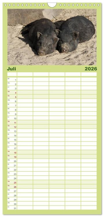 Produktbild: Familienplaner 2026 - Schwein gehabt! mit 5 Spalten (Wandkalender, 21 x 45 cm) CALVENDO