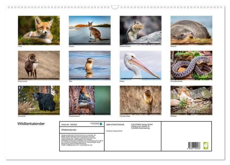 Produktbild: Wildtierkalender (Wandkalender 2026 DIN A2 quer), CALVENDO Monatskalender