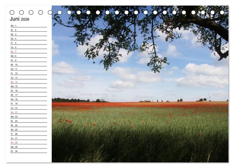 Produktbild: Hannover erleben (Tischkalender 2026 DIN A5 quer), CALVENDO Monatskalender