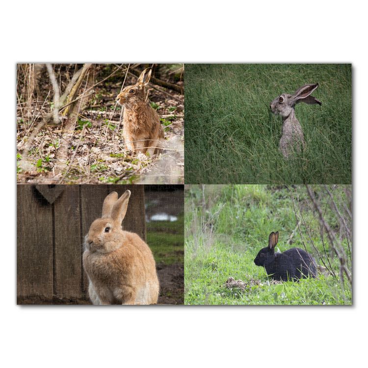 Produktbild: Lais Puzzle Collage Hase 1000 Teile