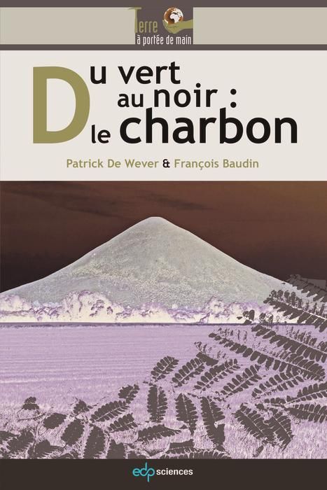 Produktbild: Du vert au noir : le charbon