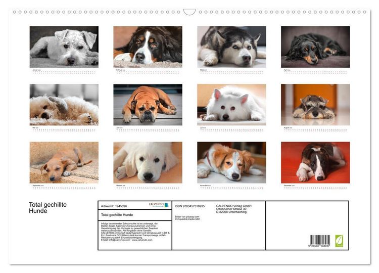 Produktbild: Total gechillte Hunde (Wandkalender 2026 DIN A2 quer), CALVENDO Monatskalender