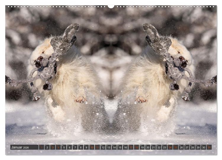 Produktbild: Mit doppelter Power durch das Jahr (Wandkalender 2026 DIN A2 quer), CALVENDO Monatskalender