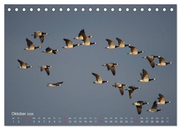 Produktbild: Anblicke und Ausblicke auf Fischland Dar&szlig; (Tischkalender 2026 DIN A5 quer), CALVENDO Monatskalender