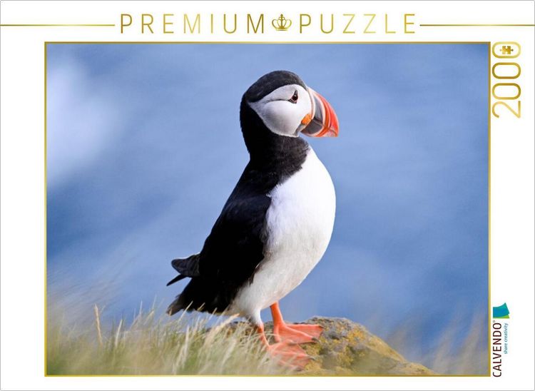 Produktbild: CALVENDO Puzzle K&ouml;nig der Puffins | 2000 Teile Lege-Gr&ouml;&szlig;e 90x67cm Foto-Puzzle f&uuml;r gl&uuml;ckliche Stunden