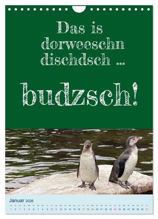 Produktbild: Ni schw&auml;bborn! Mundart und Dialekt Kalender Sachsen (Wandkalender 2026 DIN A4 hoch), CALVENDO Monatskalender