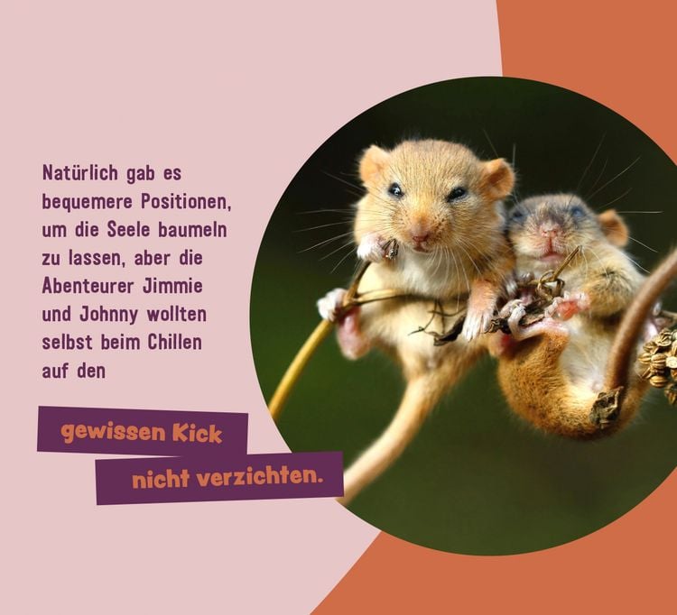 Produktbild: Tierisch gechillt!